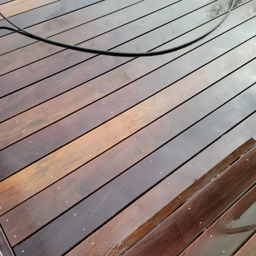 imgi_113_WhatsApp-Image-2023-03-27-at-9.25.20-AM